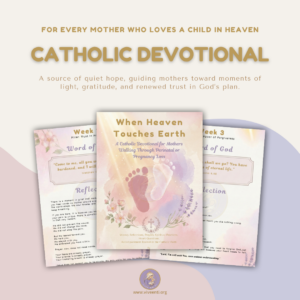 When Heaven Touches Earth - A Catholic Devotional for Mothers Walking Through Perinatal or Pregnancy Loss
